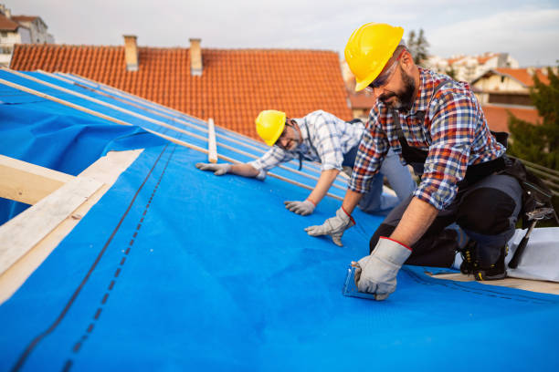 Best Roof Gutter Cleaning  in Palmetto Bay, FL
